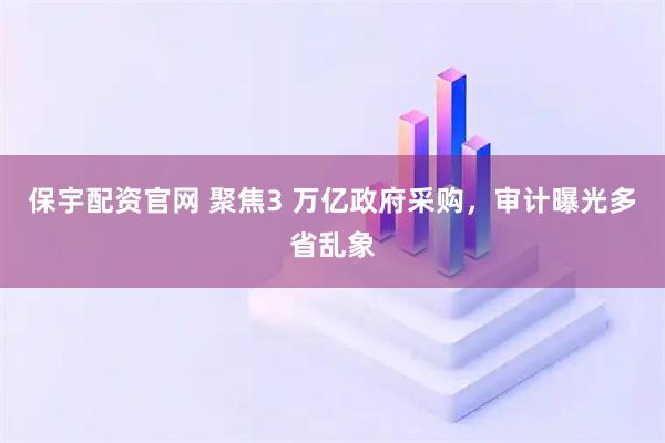 保宇配资官网 聚焦3 万亿政府采购，审计曝光多省乱象